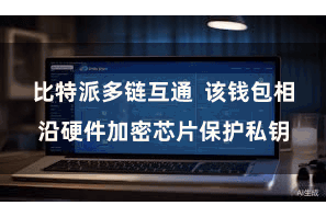 比特派多链互通 该钱包相沿硬件加密芯片保护私钥
