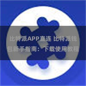 比特派APP直连 比特派钱包新手指南：下载使用教程