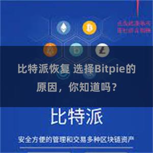 比特派恢复 选择Bitpie的原因，你知道吗？