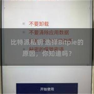 比特派私钥 选择Bitpie的原因，你知道吗？