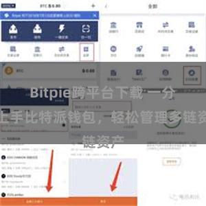 Bitpie跨平台下载 一分钟上手比特派钱包，轻松管理多链资产