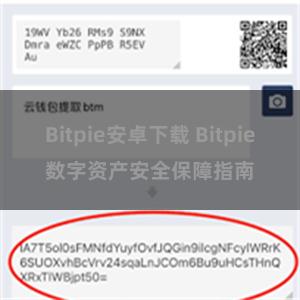 Bitpie安卓下载 Bitpie数字资产安全保障指南