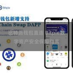 比特派钱包直连 Bitpie数字资产安全保障指南