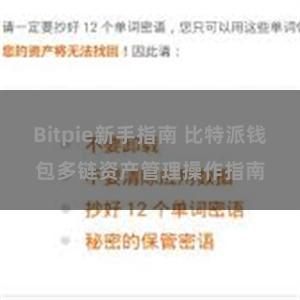 Bitpie新手指南 比特派钱包多链资产管理操作指南