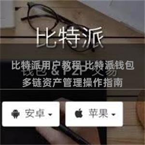 比特派用户教程 比特派钱包多链资产管理操作指南