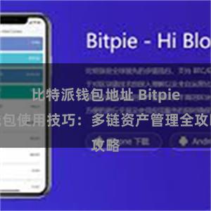 比特派钱包地址 Bitpie钱包使用技巧：多链资产管理全攻略