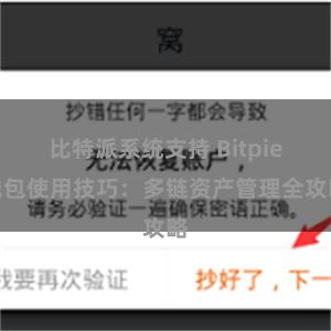 比特派系统支持 Bitpie钱包使用技巧：多链资产管理全攻略