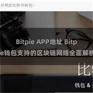 Bitpie APP地址 Bitpie钱包支持的区块链网络全面解析