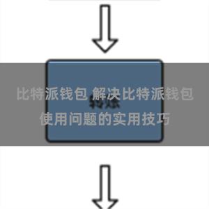 比特派钱包 解决比特派钱包使用问题的实用技巧