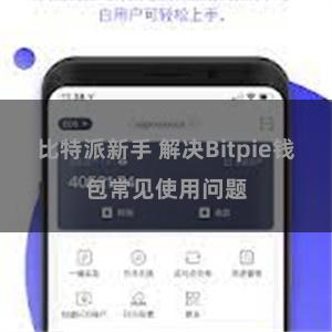 比特派新手 解决Bitpie钱包常见使用问题