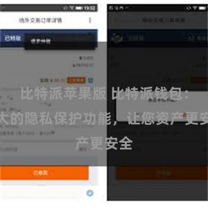 比特派苹果版 比特派钱包：强大的隐私保护功能，让您资产更安全
