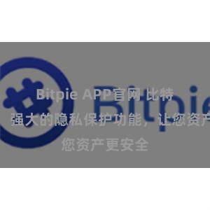 Bitpie APP官网 比特派钱包：强大的隐私保护功能，让您资产更安全