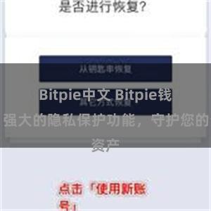 Bitpie中文 Bitpie钱包：强大的隐私保护功能，守护您的资产