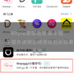 Bitpie教程地址 新手指南：下载并使用比特派钱包必知事项