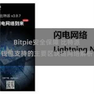 Bitpie安全保障 比特派钱包支持的主要区块链网络解析