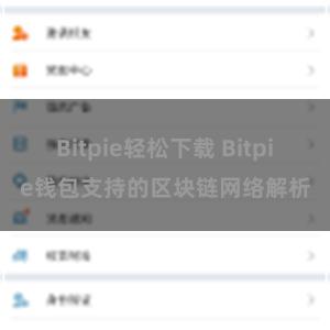 Bitpie轻松下载 Bitpie钱包支持的区块链网络解析