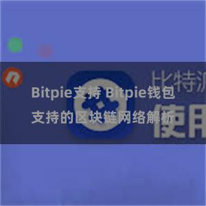 Bitpie支持 Bitpie钱包支持的区块链网络解析