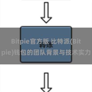 Bitpie官方版 比特派(Bitpie)钱包的团队背景与技术实力