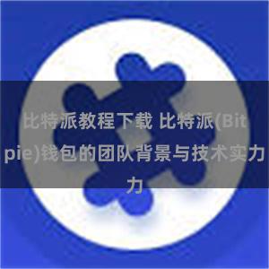 比特派教程下载 比特派(Bitpie)钱包的团队背景与技术实力