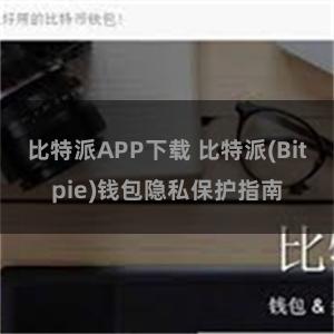 比特派APP下载 比特派(Bitpie)钱包隐私保护指南