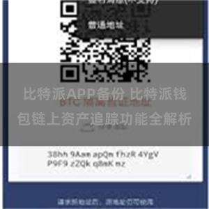 比特派APP备份 比特派钱包链上资产追踪功能全解析