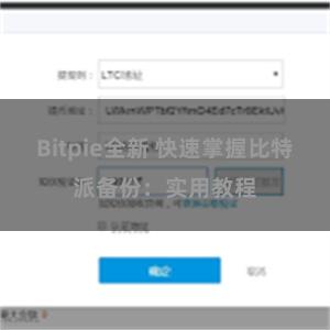 Bitpie全新 快速掌握比特派备份：实用教程