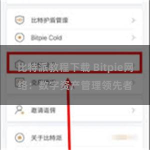比特派教程下载 Bitpie网络：数字资产管理领先者