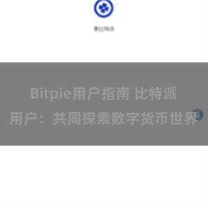 Bitpie用户指南 比特派用户：共同探索数字货币世界