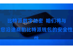 比特派数字加密  咱们将与您沿途商酌比特派钱包的安全性