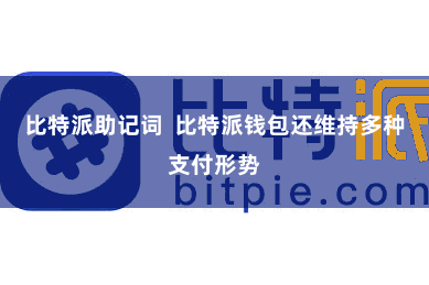 比特派助记词  比特派钱包还维持多种支付形势