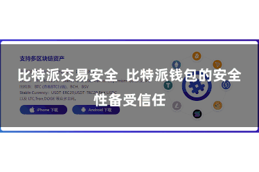 比特派交易安全  比特派钱包的安全性备受信任