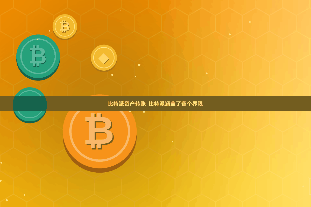 比特派资产转账 比特派涵盖了各个界限